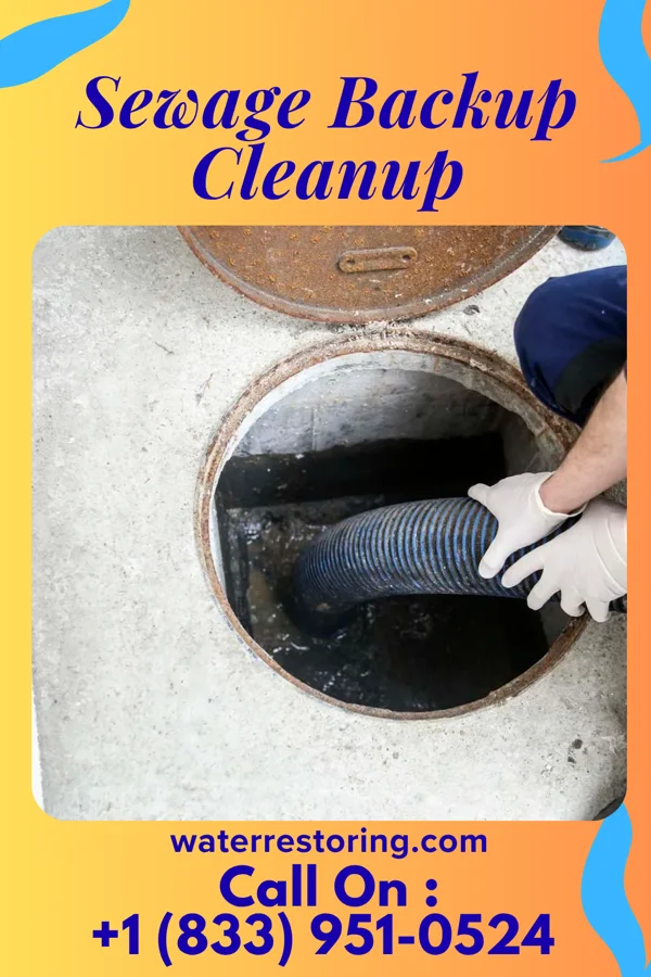 Sewage Backup Cleanup in Weslaco, TX