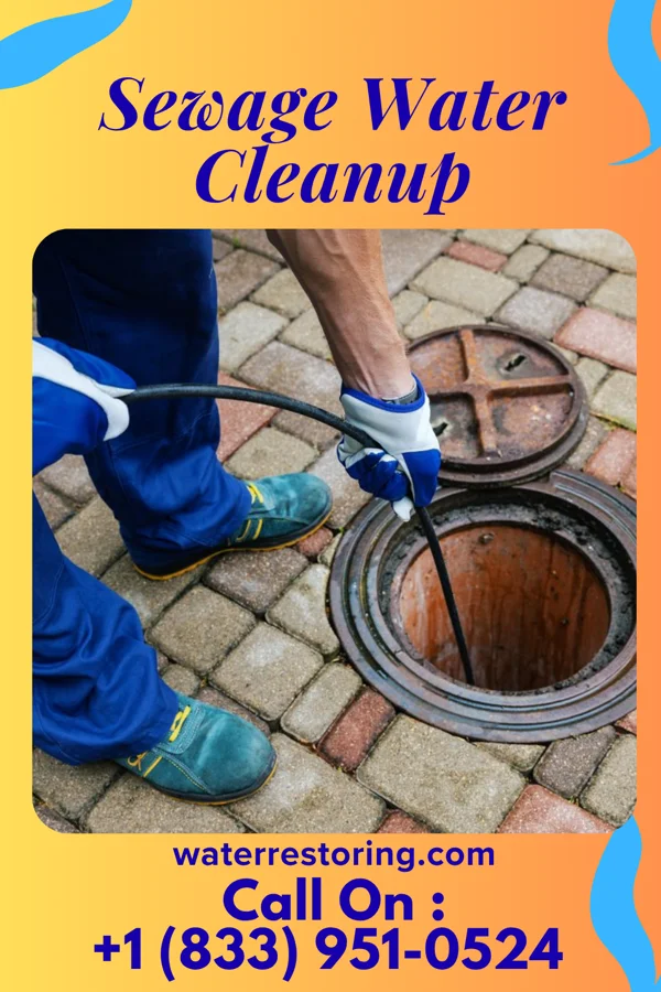 Sewage Water Cleanup in Weslaco, TX